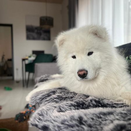Apartman Othila , Apartman V Demanovskej Doline Liptovský Mikuláš Dış mekan fotoğraf