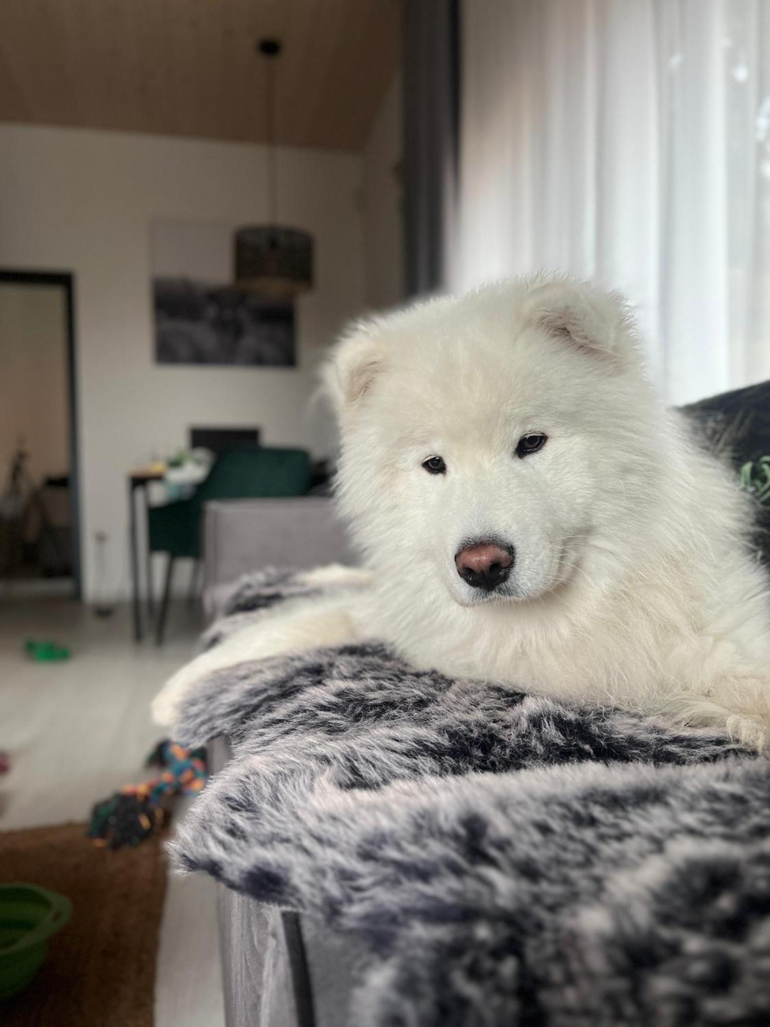 Apartman Othila , Apartman V Demanovskej Doline Liptovský Mikuláš Dış mekan fotoğraf